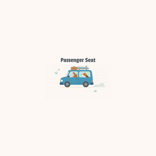 Passenger Seat