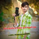 Pura pada ki najar pili lugdi top