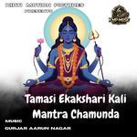 Tamasi Ekakshari Kali Mantra Chamunda