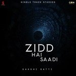 Zidd Hai Saadi