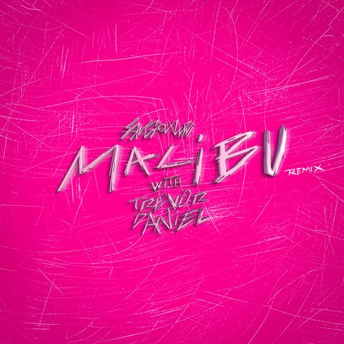 malibu (Trevor Daniel remix)_poster_image