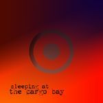 sleeping at the cargo bay artwork