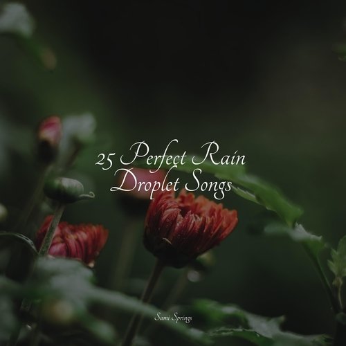 25 Perfect Rain Droplet Songs