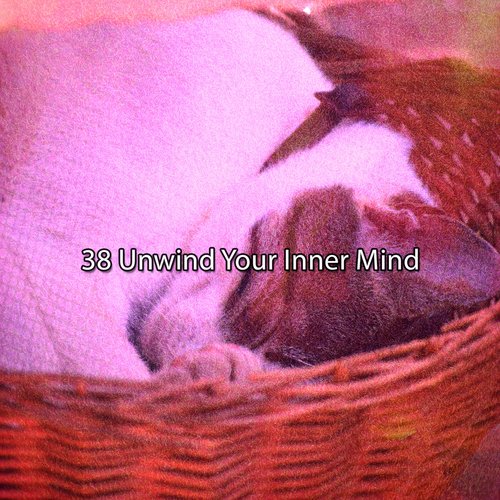 38 Unwind Your Inner Mind_poster_image