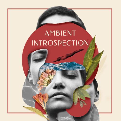 Ambient Introspection_poster_image