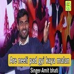 Are neeli pad gyi kaya malam mere lal ki