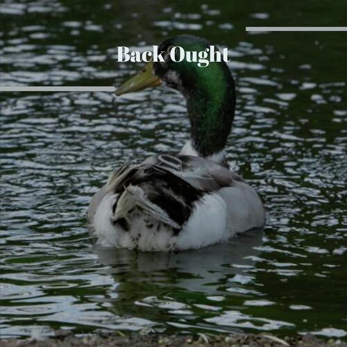 Back Ought