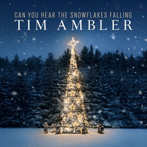 Can You Hear The Snowflakes Falling_poster_image