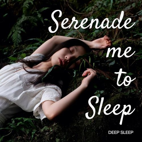 Deep Sleep: Serenade me to Sleep_poster_image