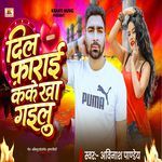 Dil Pharai Kake Kha Gailu