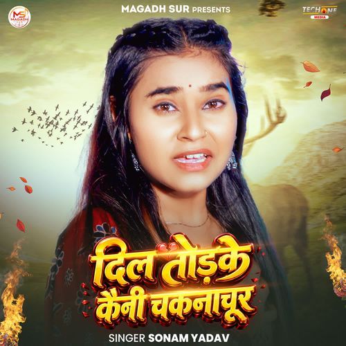 Dil Todake Kaini Chakncahur