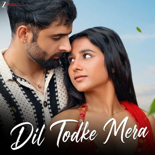 Dil Todke Mera
