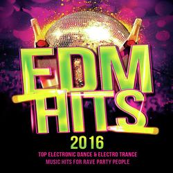 Time To Party by Famous EDM DJs