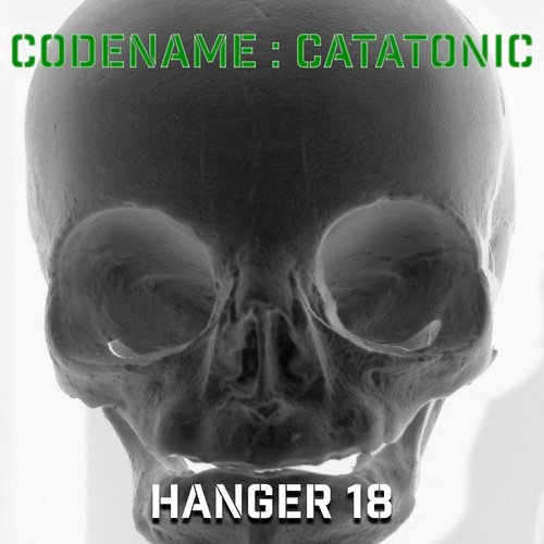 Hanger 18 cover art