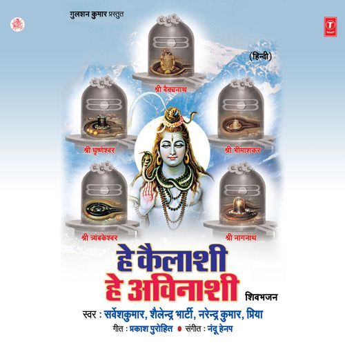 Hey Kailashi Hey Avinashi