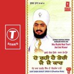 Ho Rahi Hai Teri Jai Jaikar-Samagam Heera Una (Part 1) Movie Poster Ho Rahi Hai Teri Jai Jaikar-Samagam Heera Una (Part 1) movie poster