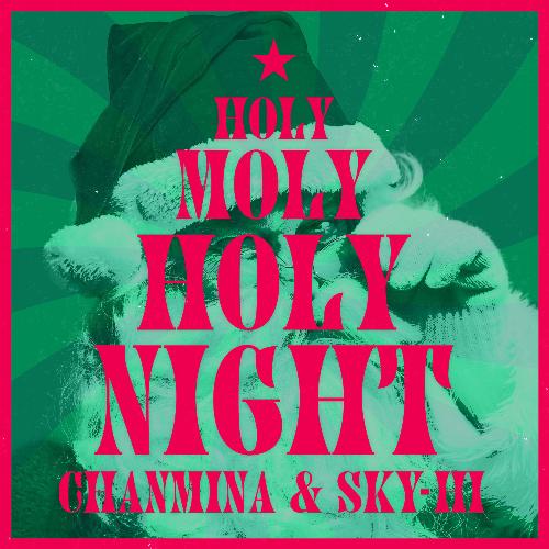 Holy Moly Holy Night_poster_image