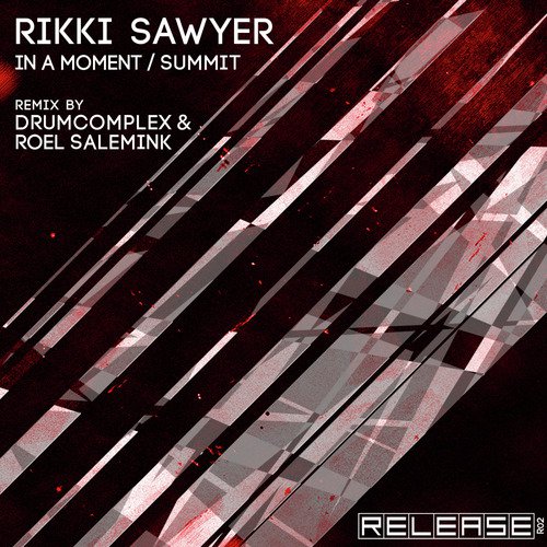 Summit (Drumcomplex & Roel Salemink Remix) cover art