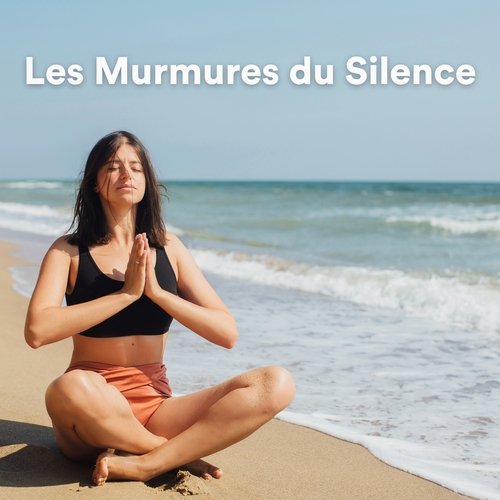 Les Murmures du Silence_poster_image