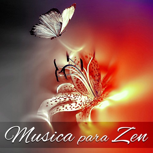 Concentración cover art