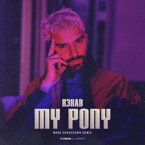 My Pony (Mark Shakedown Remix)