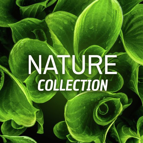 Green Nature SPA cover art