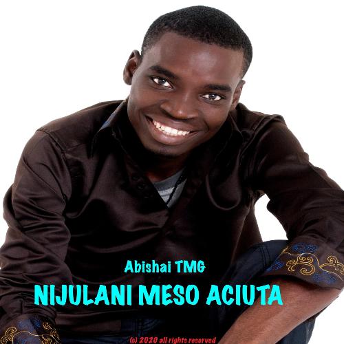 Nijulani Meso Aciuta cover art