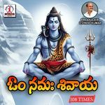 Om Namah Shivaya