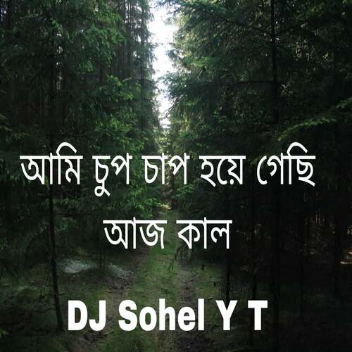 আমি চুপ চাপ হয়ে গেছি আজ কাল