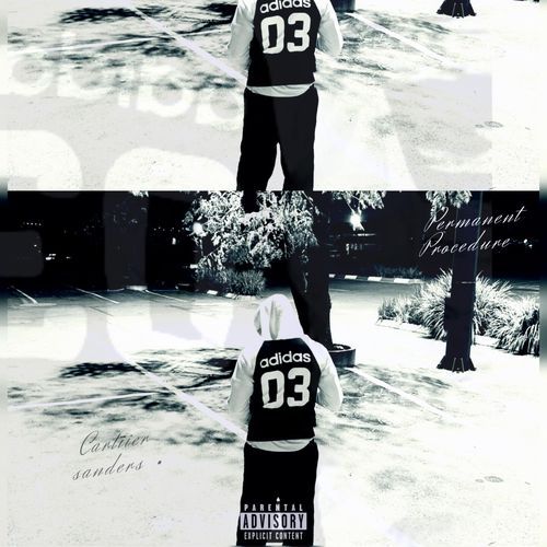 Mink (feat. 12Twelve & BlurryXiang) cover art