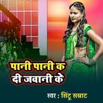 Pani Pani Kadi Jawani Ke