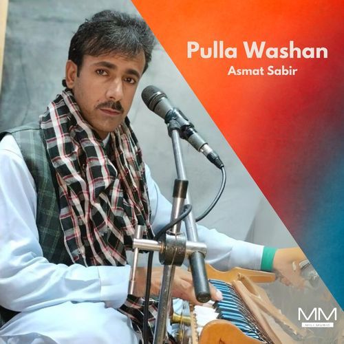 Pulla Washan