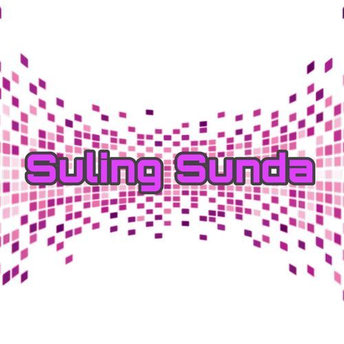 SULING cover art