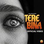 TERE BINA