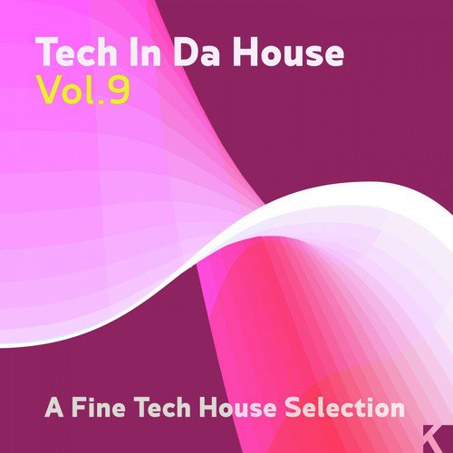 Tech in da House, Vol. 9 (A Fine Tech House Selection)