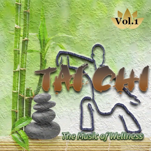 The Music of Wellness 'Tai Chi', Vol. 1
