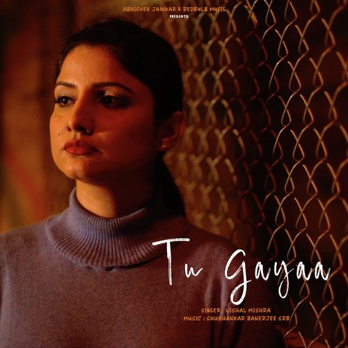 Tu Gayaa_poster_image