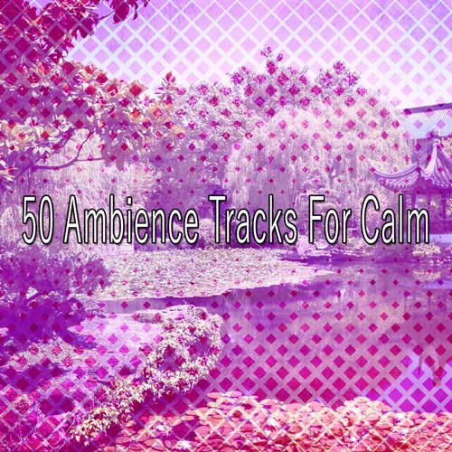 50 Ambience Tracks For Calm