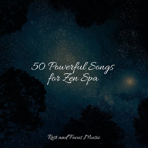 50 Powerful Songs for Zen Spa