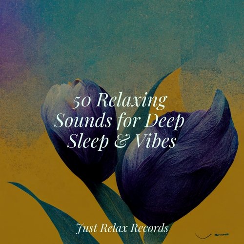 50 Relaxing Sounds for Deep Sleep & Vibes