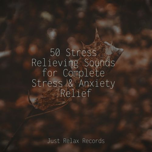 50 Stress Relieving Sounds for Complete Stress & Anxiety Relief