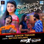 Aashu Tu Mane Badnam Na Kar Remix