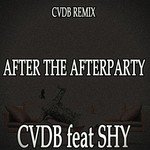 After the Afterparty