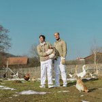 All My Friends Are Rich