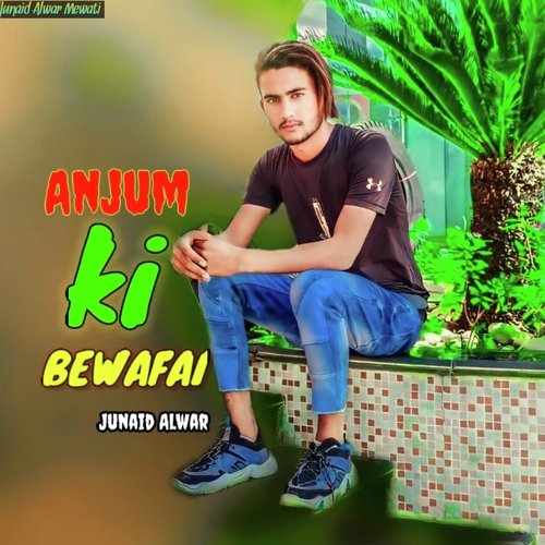 Anjum Ki Bawafai