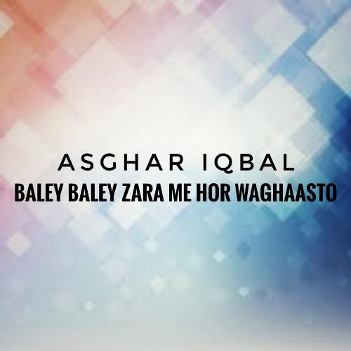 Baley Baley Zara Me Hor Waghaasto