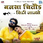 Bansa Chittod City Jajyo