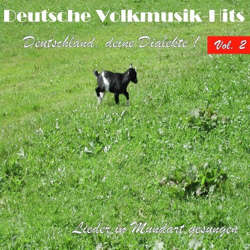 Deutsche Volksmusik Hits - Deutschland, deine Dialekte! Lieder in Mundart gesungen, Vol. 2