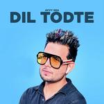 Dil Todte