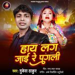 Hay Lag Jaai Re Pagli